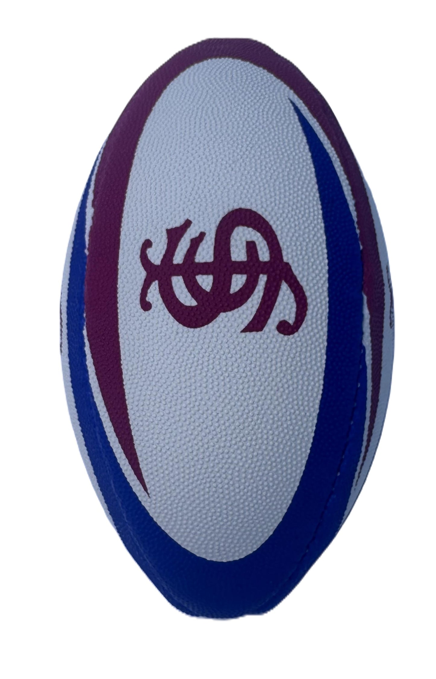 Mini Rugby Ball